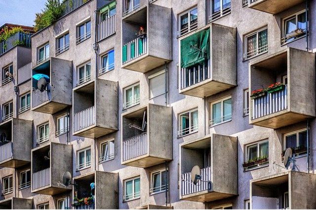 quel chien etes vous appartement