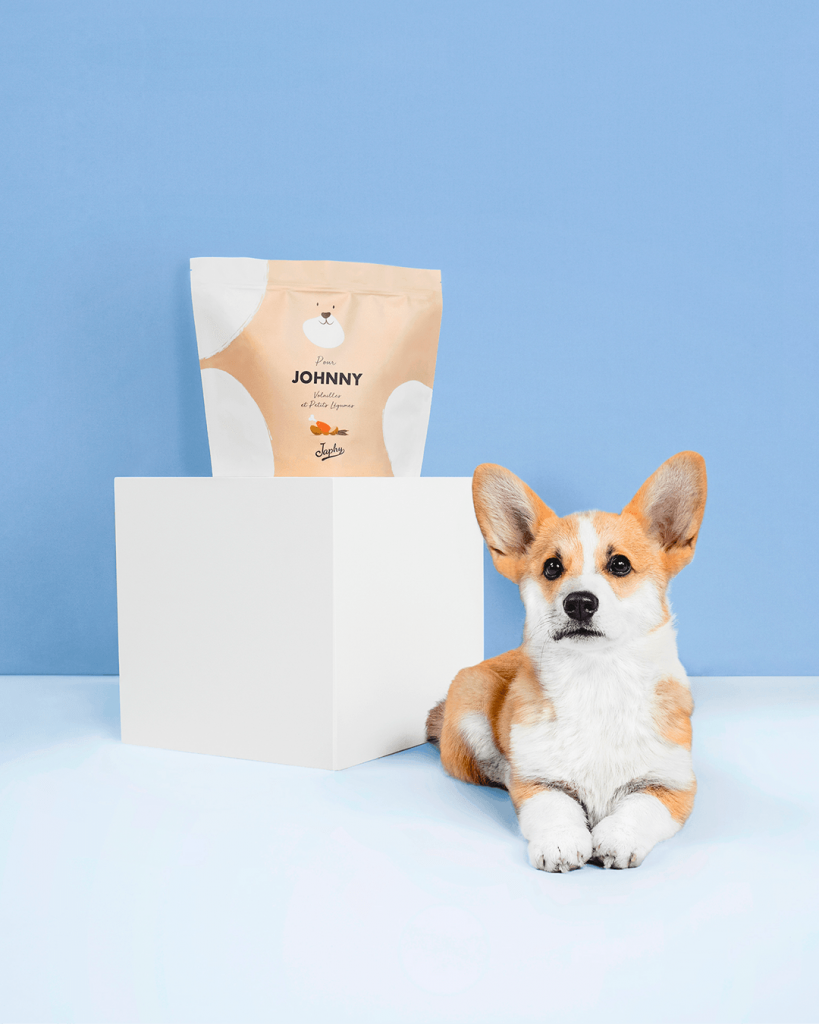Croquette Japhy Prix Notre Top 6 des meilleures croquettes pour chien adulte [2020