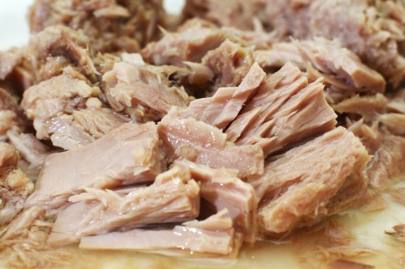 can dogs eat cooked tuna