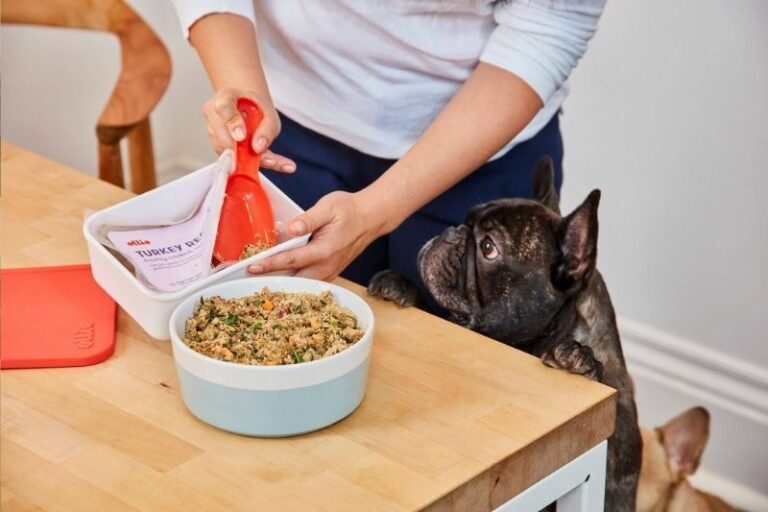 10 Best Fresh Dog Food Brands in September 2023