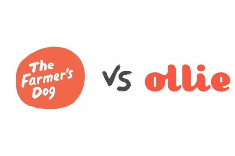 The Farmer's Dog vs Ollie which one is the best for you?