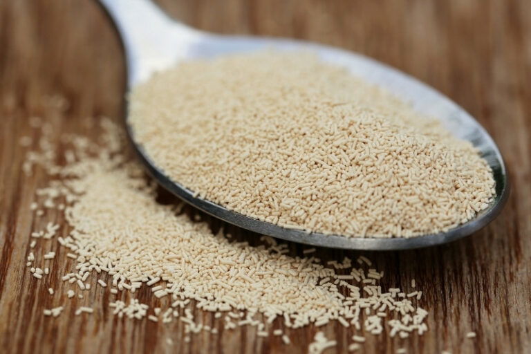 The 7 best yeast free dog foods