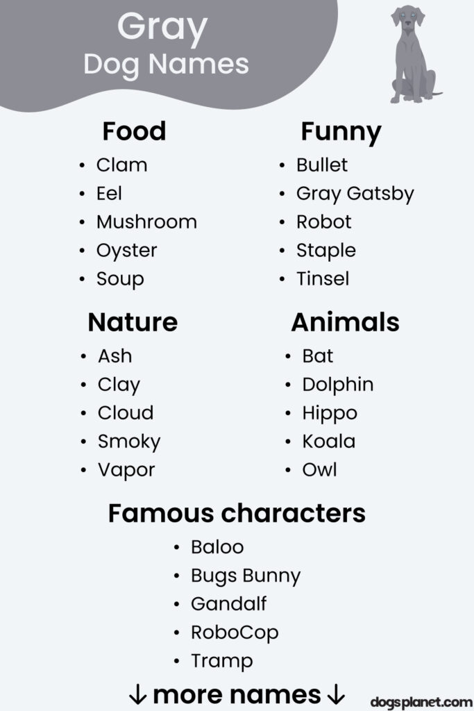 200 Gray Dog Names For Your Silvery Pup DogsPlanet