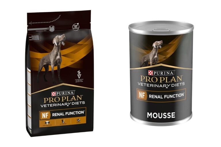 Los mejores piensos renales para perros según una veterinaria ...